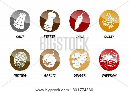 Spices Button Icon Vector Season Cook Salt Pepper