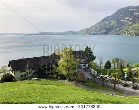 View Of The Vitznau Settlement On The Shore Of Lake Lucerne Or Vierwaldstaetersee - Canton Of Lucern