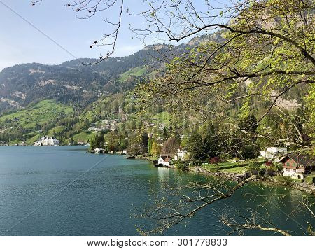 View Of The Vitznau Settlement On The Shore Of Lake Lucerne Or Vierwaldstaetersee - Canton Of Lucern