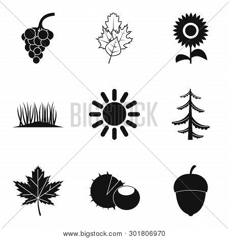 Natural Intervention Icons Set. Simple Set Of 9 Natural Intervention Icons For Web Isolated On White