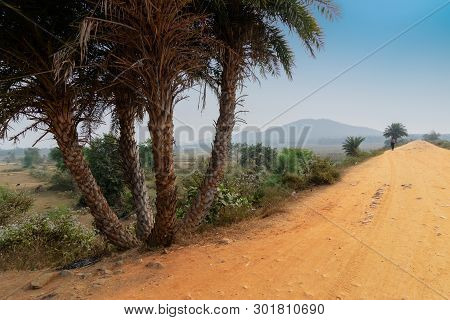 A Village Road In Rural India , Baranti Village - West Bengal, India