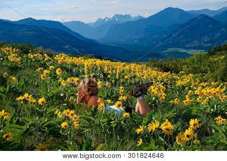 Relaxed Woman Lying Down On Meadows With Yellow Joyful Flowers. Arnica Balsamroot Blooming In North 