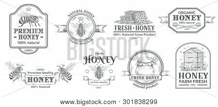 Honey Farm Badge. Beekeeping Logo, Retro Bee Badges And Vintage Hand Drawn Mead Label Vector Illustr