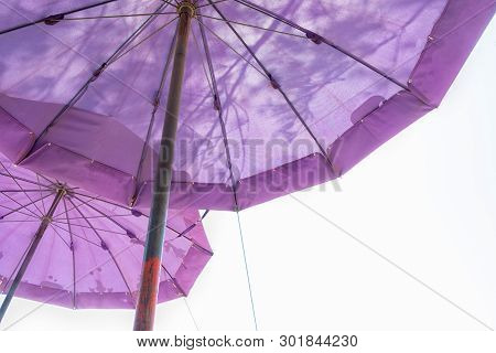Double Purple Big Umbella On White Background