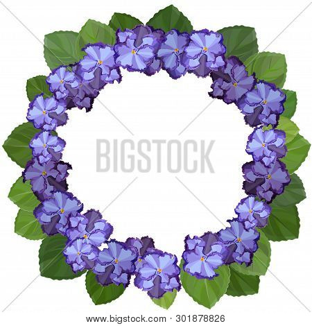 African Violet, Saintpaulia, On White Background. Wreath Frame With Copy Space