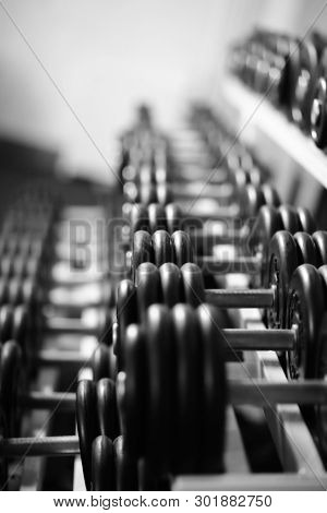Rows Of Dumbbells In The Gym With Hign Contrast