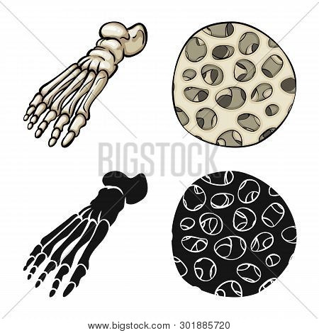 Vector Design Of Medicine And Clinic Icon. Set Of Medicine And Medical Vector Icon For Stock.