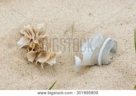 Plastic Pollution Close-up. Nature And Man-made Bottle Trash Together On Beach. Natural World Under 