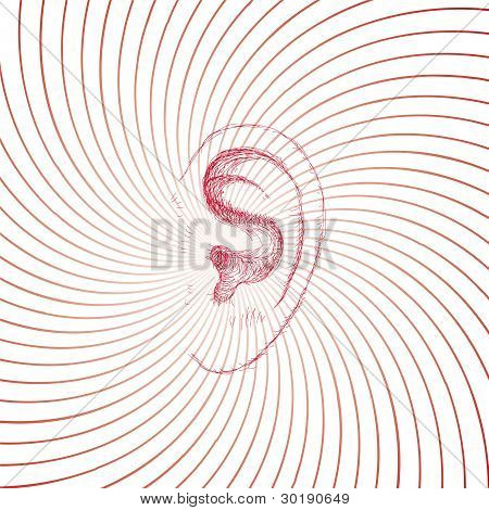 Oreille