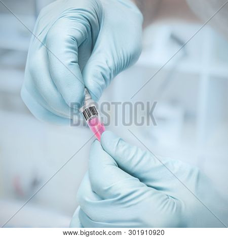 Scientific Sample In  Hands Of A Scientist Or A Tech