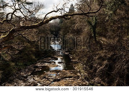 Creek In A Moody Dark Forest In Scotland, Uk