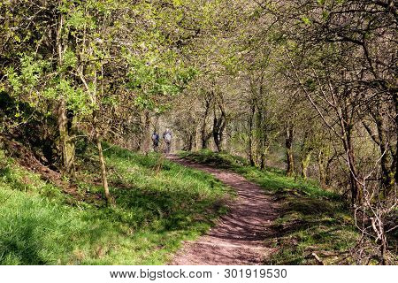 Walking Path In The Forest Of New Lanark, Scotland, Uk. Two Tourists Walking At A Distance.