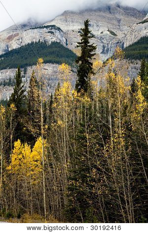 Rocky Mountain