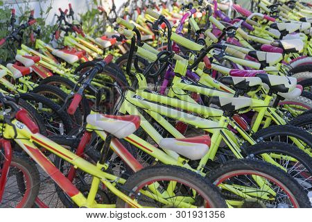 Rent Of Bicycles. Tours, Bird Watching, Park Excursion. Active Rest And Recreation In Agamon Hula, I