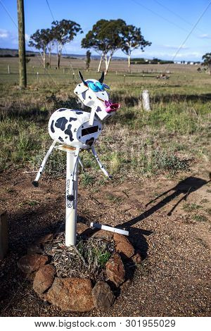Letterbox In The Form Of A Cow In The Rural Communities Of New England, Near Armidale, Nsw, Australi