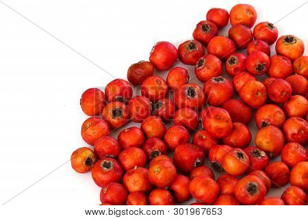 Hawthorn Fruit, Red Hawthorn And Human Health, The Healing Hawthorn Fruit,