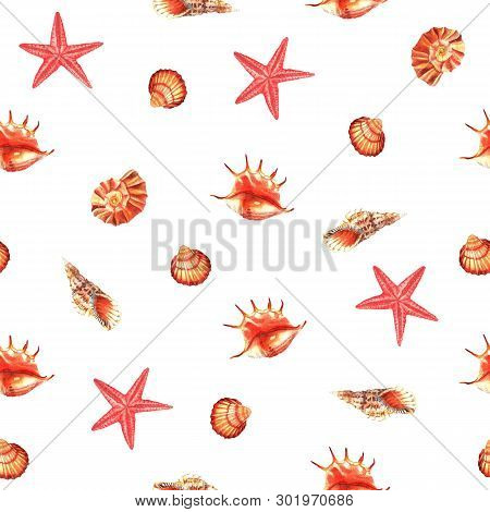 Watercolor Seamless Pattern Of Shells And Asterias