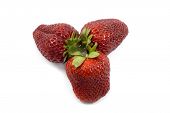 Fragole