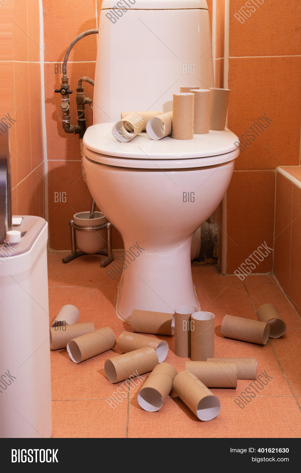 Empty Rolls Toilet Image & Photo (Free Trial) Bigstock