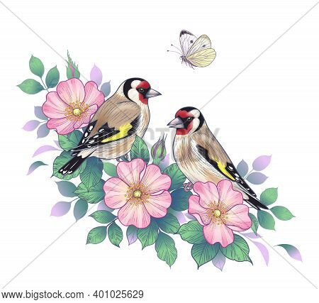 Hand Drawn Goldfinches Sitting On Dog-rose Branch With Pink Flowers And Flying Butterfly. Vector Ele