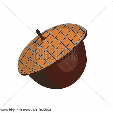 Autumn Season. Acorn Nut Isolated On White Background. Scrapbook Elements For Party, Harvest Festiva