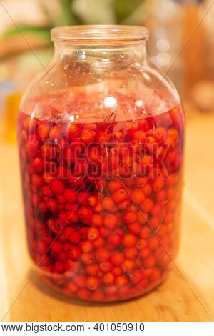Manufacturer Of Tincture Of Mountain Ash. Rowan Berries In A Glass Jar. Vodka Poured Red Berries.