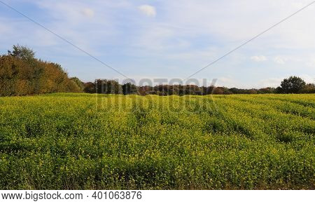 Beautiful Clouds In A Blue Sky In A Northern European Agriclutural Landscape