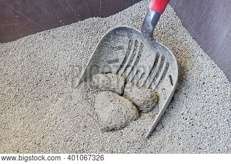 A Close Up Image Of A Dirty Scoop Cleaning A Used Cat Litterbox.