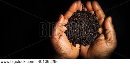 Closeup Of Woman Holding Handful Of Pepper Isolated On A Black Background With Copy Space For Textin