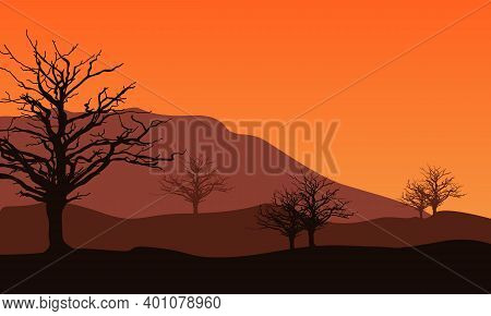 Nice Scenery At Sunset In The Afternoon. City Vector