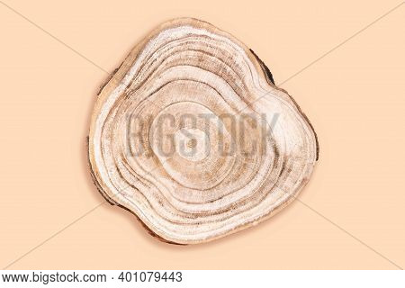 Natural Organic Eco-friendly Pedestal. Wooden Cross Section Cut Isolated On Beige, Studio Shot. Awar