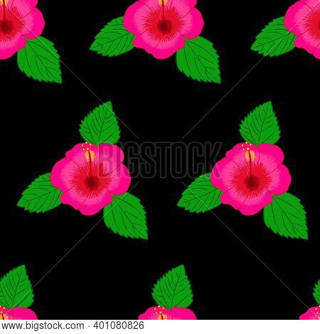 Seamless Pattern With Exotic Bright Pink Hawaiian Tropical Hibiscus Flower And Leaves. Vector Botani
