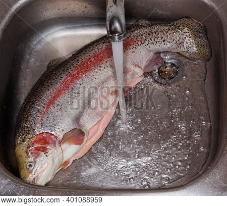Whole Disemboweled Carcass Of A Fresh Uncooked Rainbow Trout Peeled From Fish Scales In The Stainles
