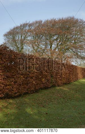 Winter In The Woolley Valley, An Area Of Outstanding Natural Beauty In The Cotswolds On The Outskirt