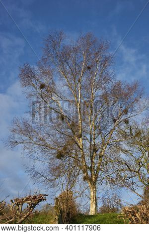 Winter In The Woolley Valley, An Area Of Outstanding Natural Beauty In The Cotswolds On The Outskirt