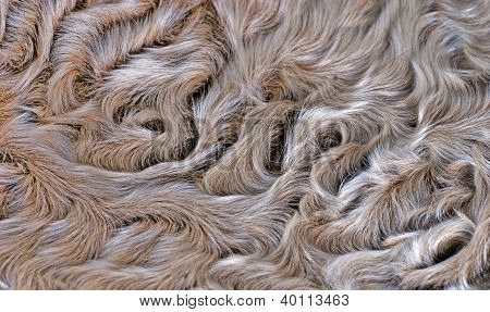 พื้นหลังขนแกะ