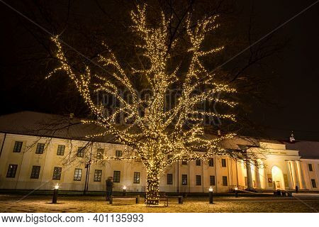 Vilnius, Lithuania - December 13, 2020: Illuminated Oak In Front Of National Museum Of Lithuania. Th