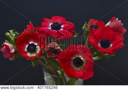 A Bouquet Of Red Anemones In A Transparent Glass Vase On A Table With A Gray Tablecloth. White Polka