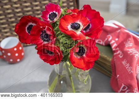 A Bouquet Of Red Anemones In A Transparent Glass Vase On A Table With A Gray Tablecloth. White Polka