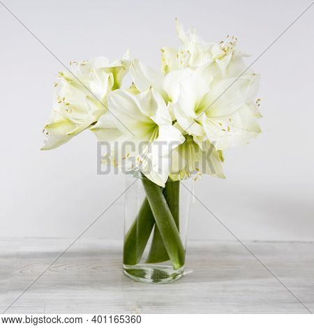 Bouquet Of White Lilies In A Glass Vase On A Beige Table Against A Gray Wall. Square Frame