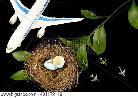 A Conceptual Image Based On The Idea Learning To Fly Using Airplanes And A Bird Nest.