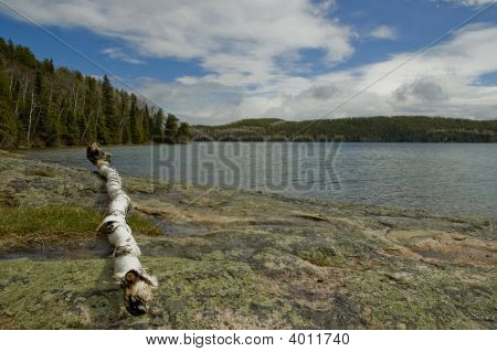 Log a jezero