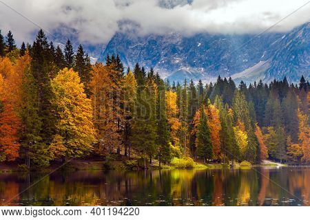 Magnificent colors of autumn. Orange and yellow trees are reflected in the green smooth water. The Alps are covered with clouds. Lake Fuzine in Northern Italy. 