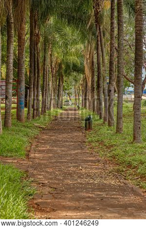 Cassilandia, Mato Grosso Do Sul, Brazil - 12 21 2020: Open Walking Area Square Elza Vendrame With Gr