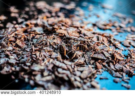 Close Up Shot Of Cut Betel Nut Or Areca Nut On A Black Surface.