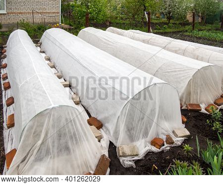 Garden Beds Covered With White Covering Material