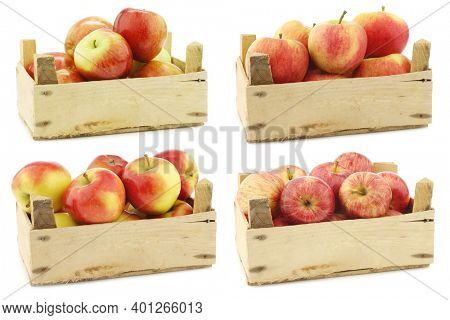 Fresh Braeburn apples,new Dutch apple variety called 