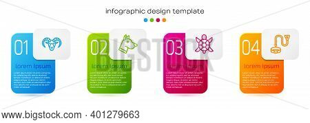 Set Line Head Of Goat Or Ram, Dog Head, Turtle And Collar With Name Tag. Business Infographic Templa