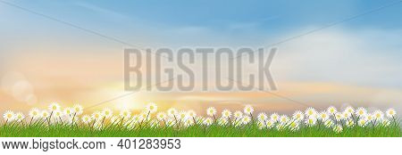 Spring Lanscape With Morning Sky And Green Grass Fields, Natural Farm Land With Tiny Daisy Flowers A