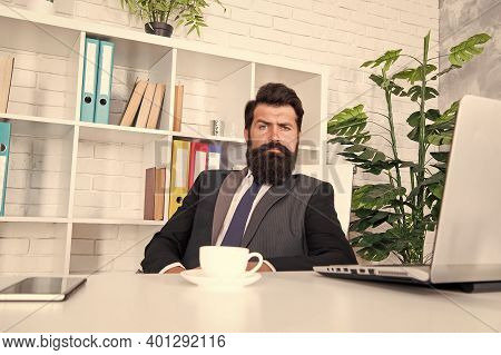 Respectable Ceo. Man Handsome Boss Sit In Office Drinking Coffee. Comfy Workspace. Bearded Hipster F